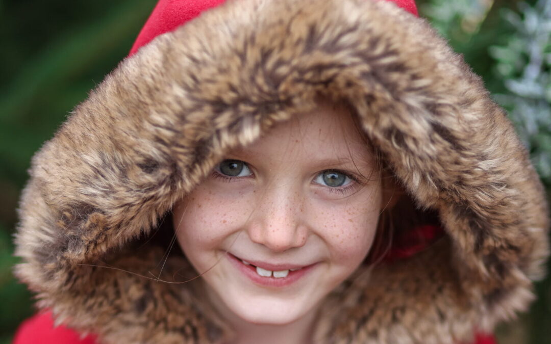 Christmas Tree Farm Photoshoot colour scheme ideas